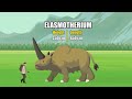 all walking wild animals size comparison animal animation