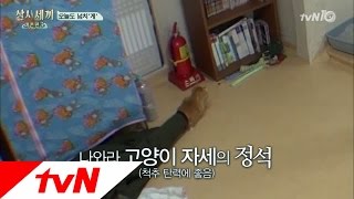 3bobfish 몽이의 나와라 고양이 펀치!!! 161125 EP.7