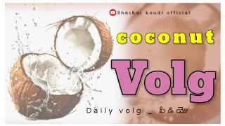 DAILY VOLG _ COCONUT VOLG VIDEO || BHASKAR KOUDI