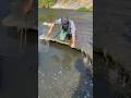 Mysterious sink hole #fishing #fishng #fish