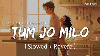 Tum Jo Milo - Lofi (Slowed + Reverb) | Abhijeet Srivastava | Freddy | SR Lofi