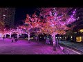 meguro river night walk tokyo japan winter illumination • 4k hdr