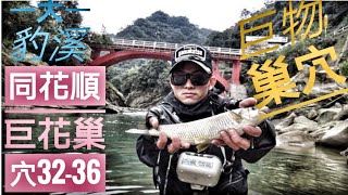 昔日巨物巢穴探釣Stream Fishing Taiwan