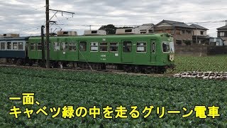 銚子電鉄のグリーン電車が緑色のキャベツ畑をのんびり走行（ショートバージョン）