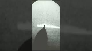 The Pigeon Guided Missile of WW2 #Shorts