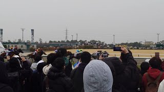 第54回高松宮記念 現地の様子