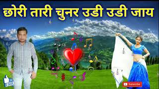 Chhori tari chunar udi udi jaye || new Adivasi song