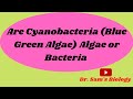 Are Cyanobacteria (BGA) Algae or Bacteria