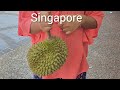 Durian Season in Singapore