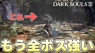 『じゃあもうやめちまいなァッ！』かつてのイージーボスにボコボコにされ憤る火の無い灰【DARK SOULSⅢ実況】