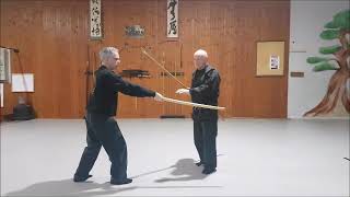 Bo Katana Muto Dori