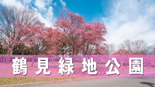 【No.127】大阪鶴見緑地公園の桜や風車を見に行ってきたら凄く綺麗だった