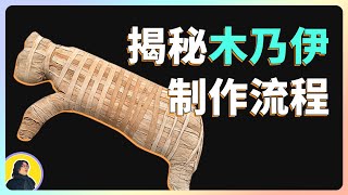 揭秘古埃及木乃伊制作流程，猫木乃伊以及拥有护照的木乃伊