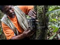 Camera Trap Distance Sampling (CTDS) - how to process video data #SWMProgramme