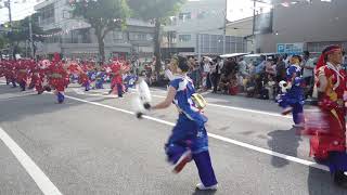 十人十彩　高知よさこい2019  本祭1日目　梅ノ辻演舞場　4k