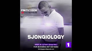 Dj Tharh[Sjongo Boiz] - Sjongiology