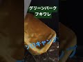 グリーンパークフキワレ　ソロキャンプ