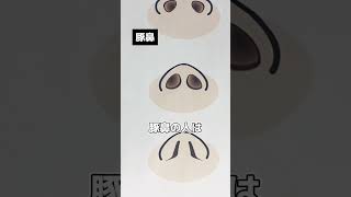 【TikTok150万再生】鼻診断セルフチェック方法 #鼻診断　#鼻整形#ノーズシャドウ