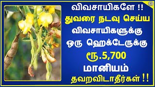 துவரை நடவு செய்ய விவசாயிகளுக்கு ஒரு ஹெக்டேருக்கு ரூ.5,700 மானியம் | Time to Tips |