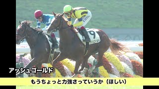 【競馬】【POG】【勝ち上がり馬診断】1030 - 未来のクラシックホースを探せ！#20（一部公開版）- netkeiba.com