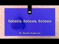 Babesia, Babesia, Babesia