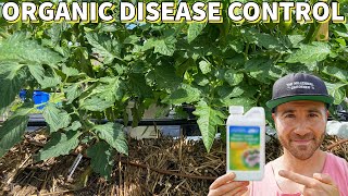 This Organic Disease Control Remedy Can RESCUE Your Garden