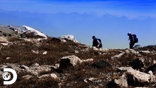 Peligrosas exploraciones en lo más alto de un glaciar y un cañón | La Maldición del Oro | Discovery