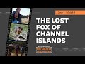 The Lost Fox of Channel Islands Clip | Mutual of Omaha's Wild Kingdom Protecting the Wild