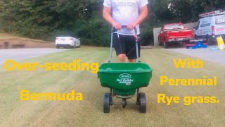 Over-Seeding Bermuda with Perennial Rye, Part 2 Barenbrug RPR Seed.