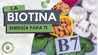 LA BIOTINA: Vitamina B7 o Vitamina H. Para qué sirve