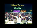 ไปโดนตัวไหนมา โต๊ด เก๋าซึม 3cha remix