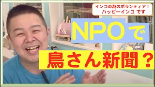 NPOで 鳥さん通信？のお話　ハッピーインコ＆はがひでき