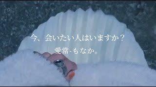 愛常 / もなか。- オリジナル曲                           【Lyric Video】