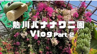 【Part 2】圧巻すぎるバナナワニ園の熱帯植物たち！