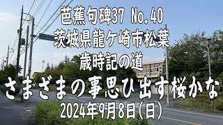 【芭蕉句碑37 No.40 茨城県龍ケ崎市松葉 歳時記の道】さまざまの事思ひ出す桜かな