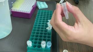 Lab Demo: DNA Forensics Gel Electrophoresis