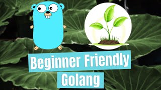 Variadic Functions - Beginner Friendly Golang