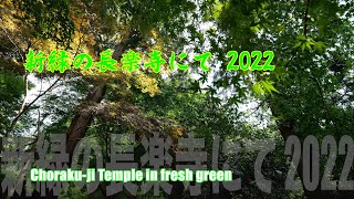 【4K空撮：MAVIC AIR2】新緑の長楽寺にて2022　Choraku-ji Temple in fresh green