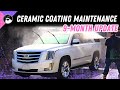 How I Maintain a Ceramic Coating [ 9 Month Update ] #detailing #cardetailing #autodetailing