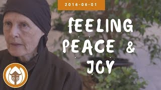 Feeling Peace & Joy | Dharma Talk by Sister Annabel Laity, 2016.06.01