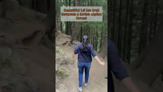 Jogini Waterfall Manali Trek | Places to visit in manali #waterfall #ytshorts #shorts #manali #trip