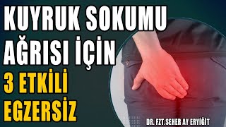 KUYRUK SOKUMU AĞRISI İÇİN 3 ETKİLİ EGZERSİZ #aktifizyo #fiziktedavi #kuyruksokumuağrısı