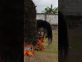 Barongan Blora Kediri Reog Ponorogo #shorts