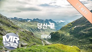 [MR노래방ㆍ-1 Key] 당신 편 - 황영웅ㆍMR Karaoke