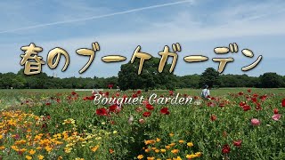 昭和記念公園　「春のブーケガーデン」