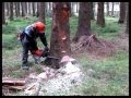 Chainsaw Husqvarna 560 XP