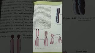 types of chromosomes based on the position of centromere