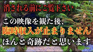 ※パワーが強力すぎるので気をつけてください※早い人は1分後本当に来ます！怖くなるほど急激に口座残高がいっぱいになります。龍神風道遠隔参拝２６１