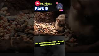 Hamsterların Gerçek Yüzü! Şaşırtıcı Hayatta Kalma Testi - Part 9  #hayvanbelgeseli  #terrarium