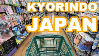 [ Vlog 37 ] 浜松市-静岡県 | PICKUP Recycle Shop | KYORINDO with sissy